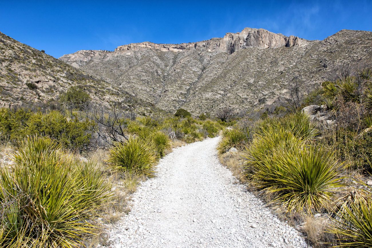 McKittrick Canyon Trail