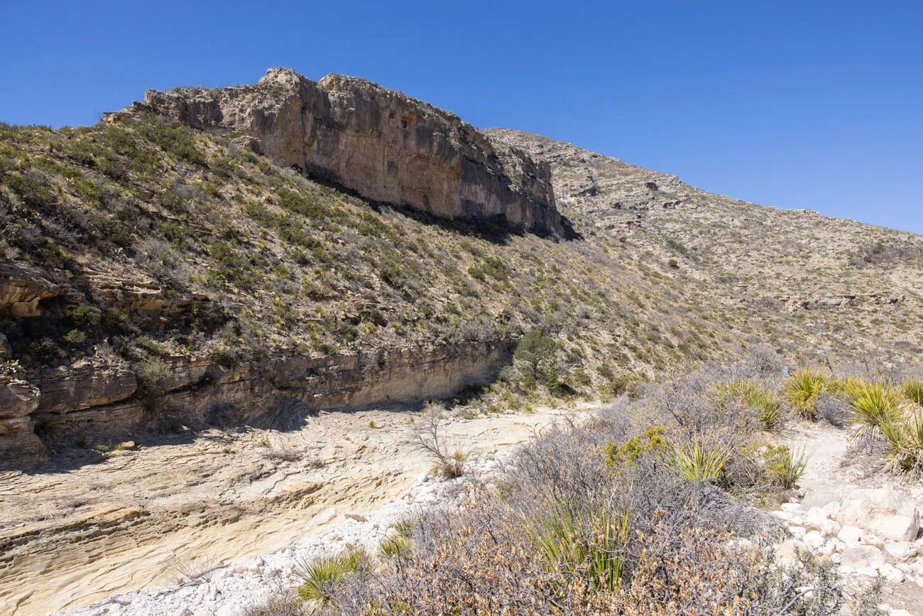 McKittrick Trail View