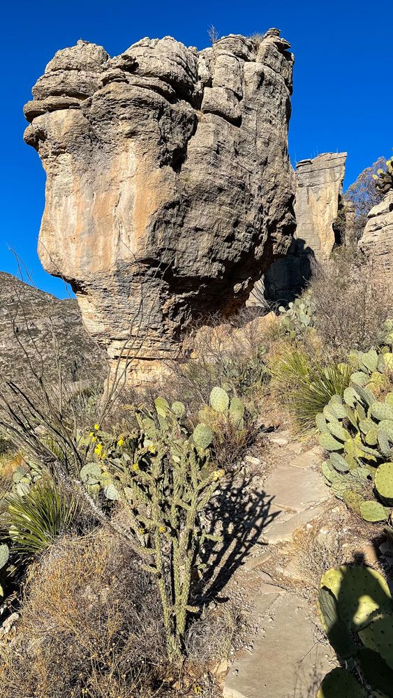 Permian Reef Trail