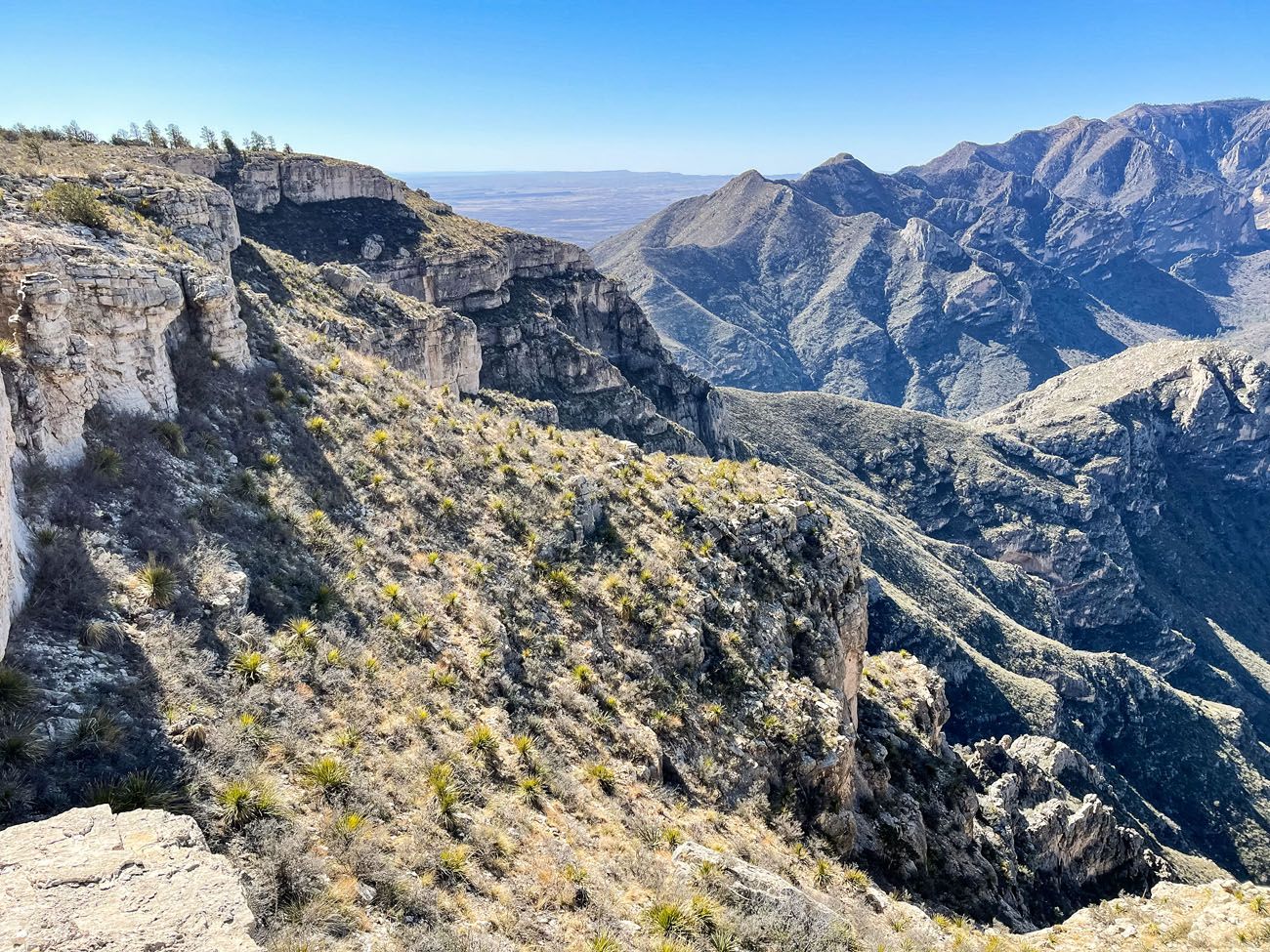 Permian Reef Trail