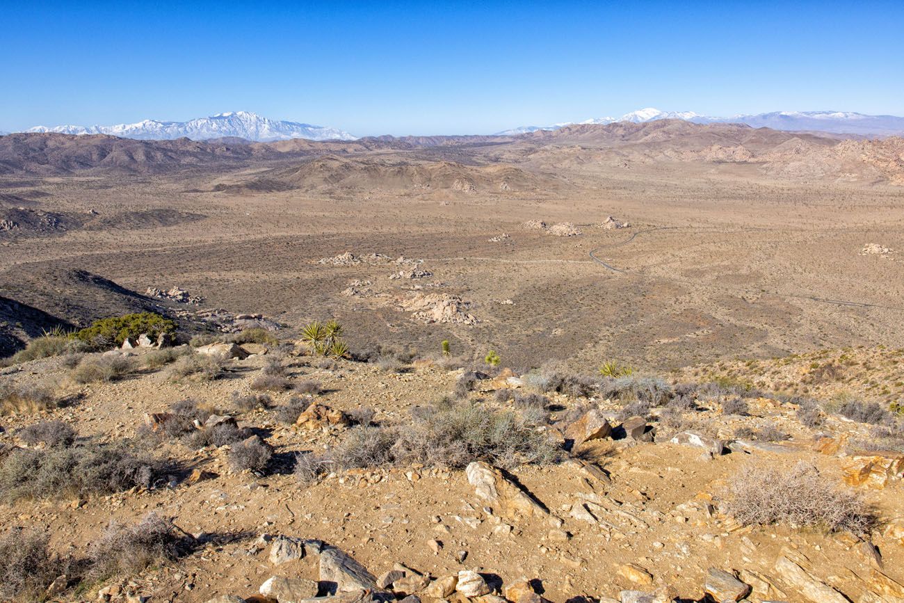 Ryan Mountain View best hikes in Joshua Tree