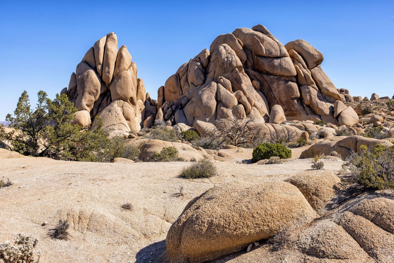 Skull Rock Trail Photo | Best National Parks in February