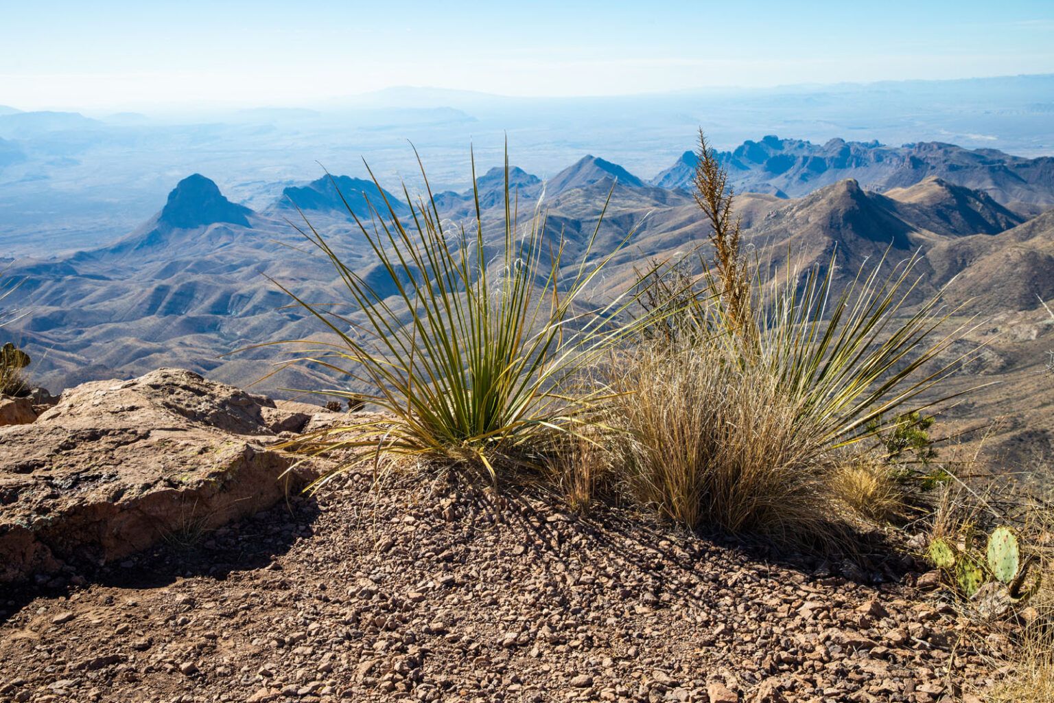 South Rim Trail