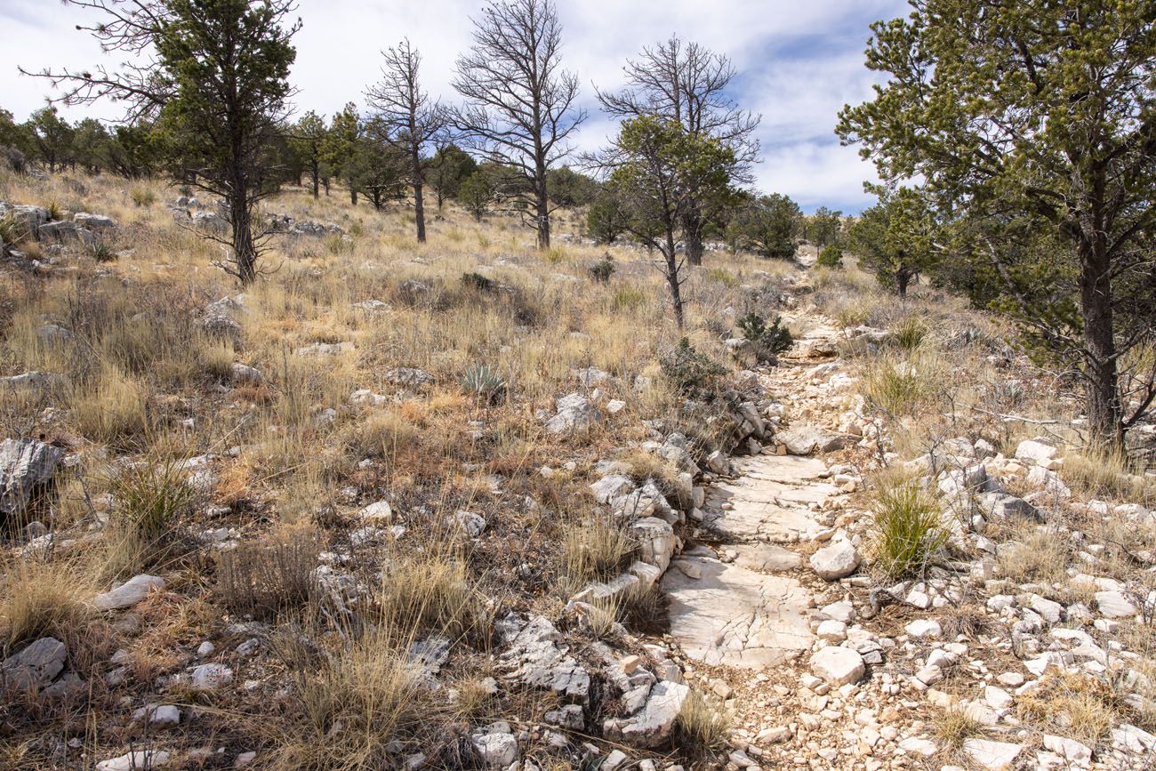 Tejas Trail Guadalupe