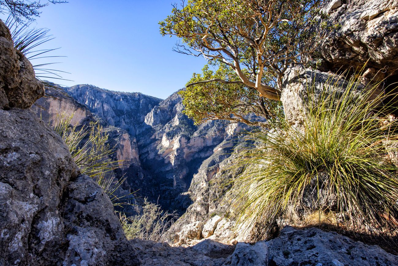 The Notch Guadalupe Mountains