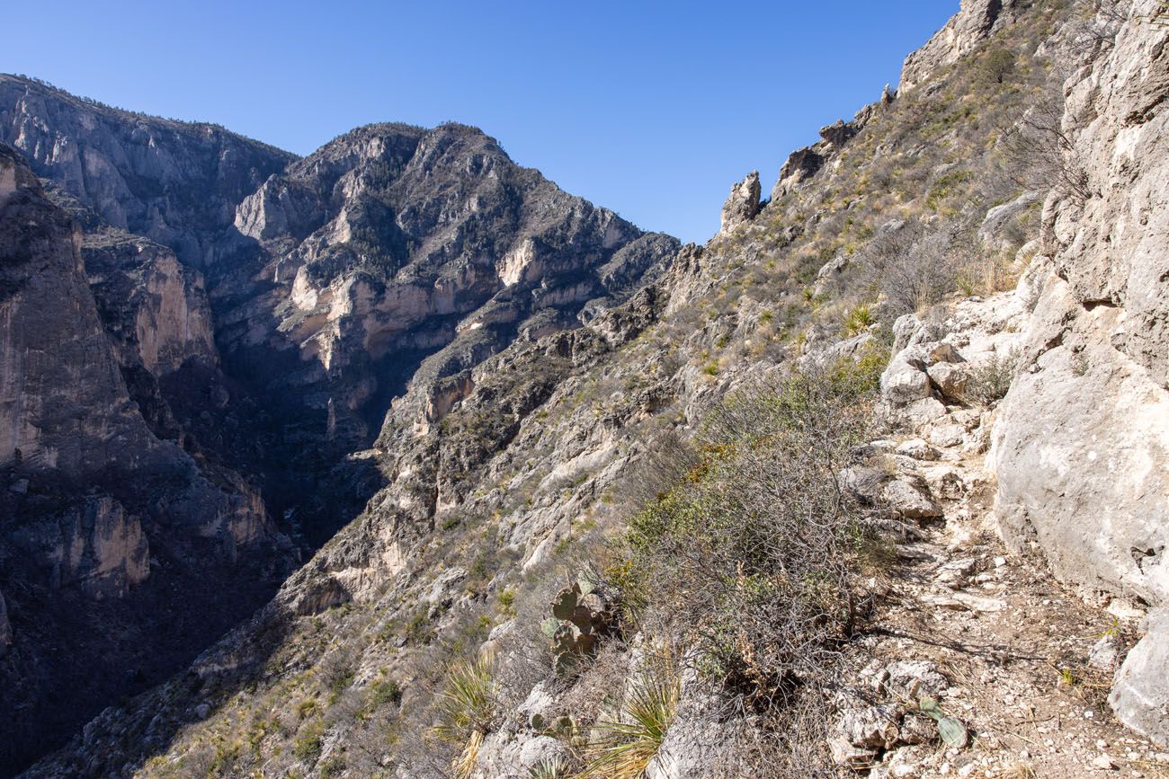 Trail Beyond the Notch