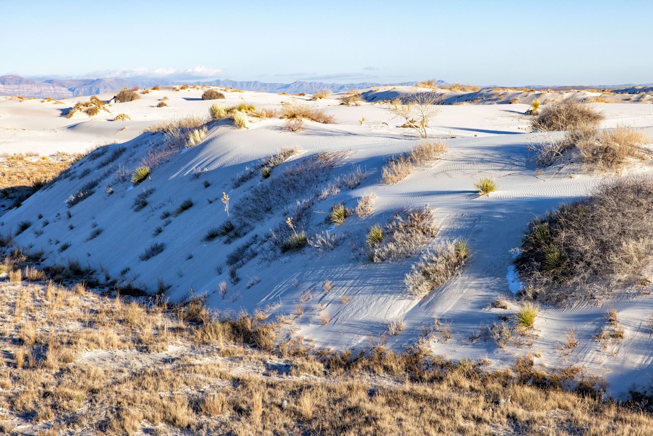 View of the Dunes