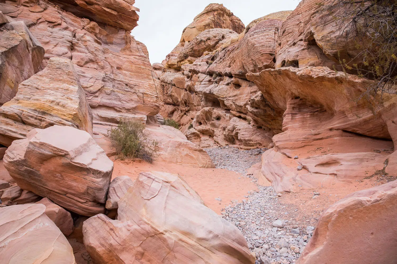 White Domes Loop