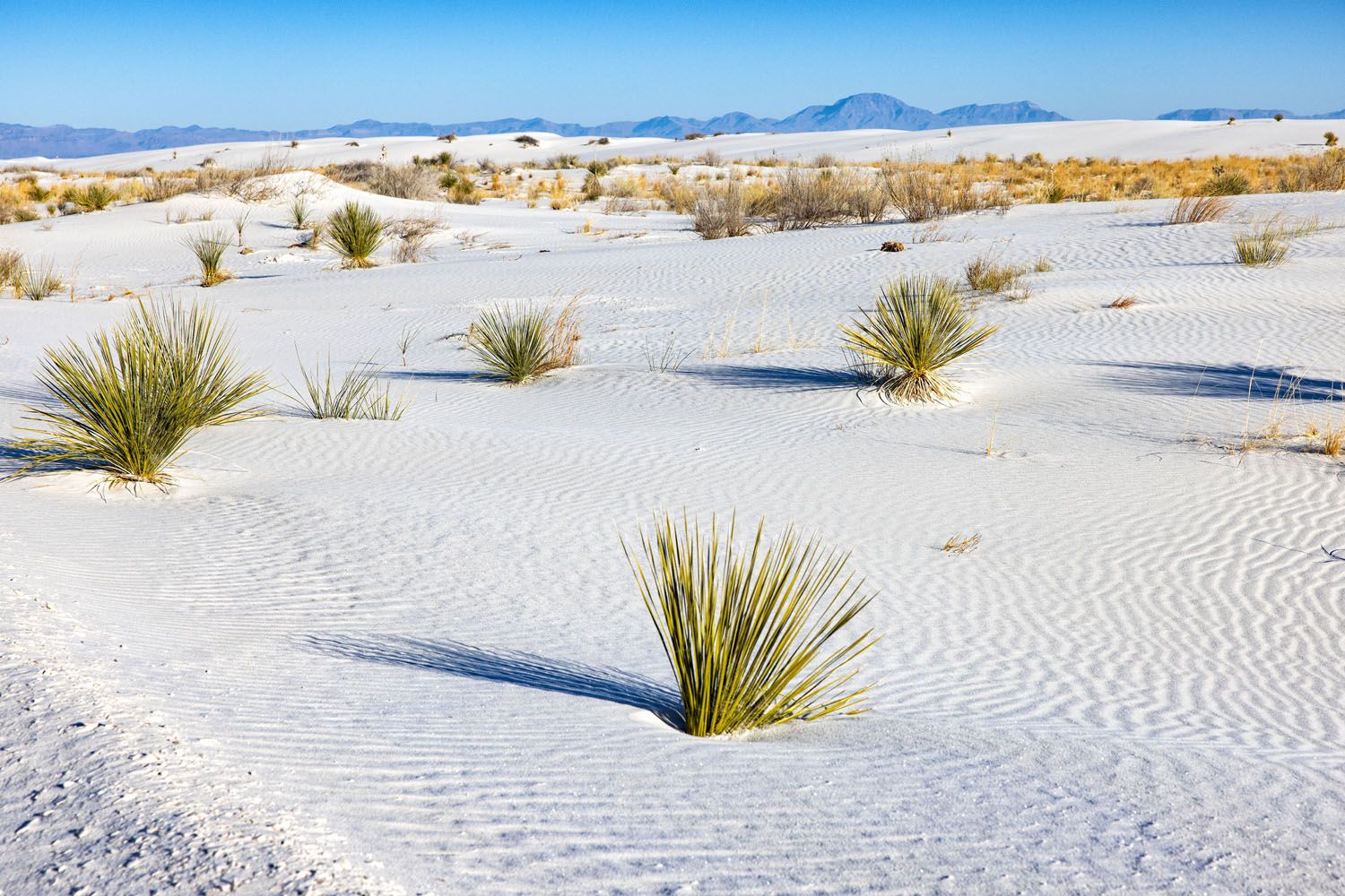 White Sands Dunes from Dunes Drive