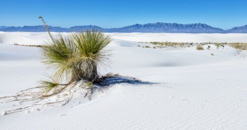 11 AMAZING THINGS TO DO IN WHITE SANDS NATIONAL PARK visual data 4
