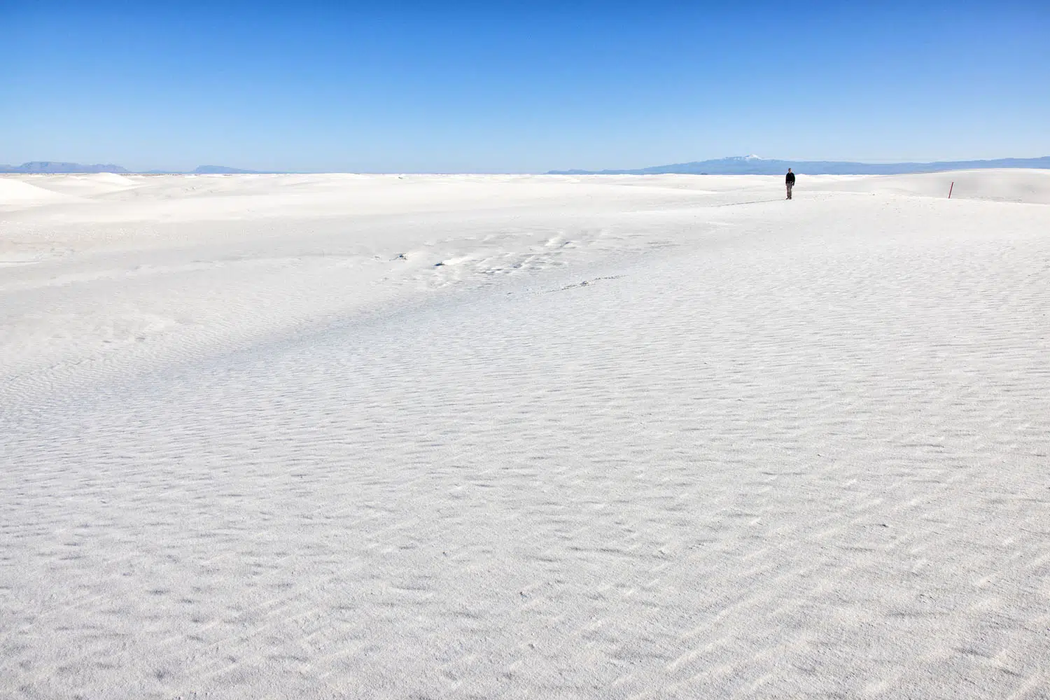 White Sands in the Morning