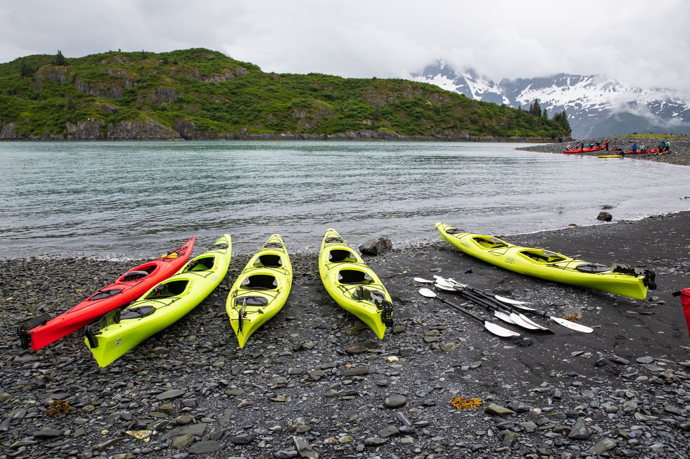 Aialik Bay Kayaks