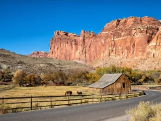 Fruita Capitol Reef National Park
