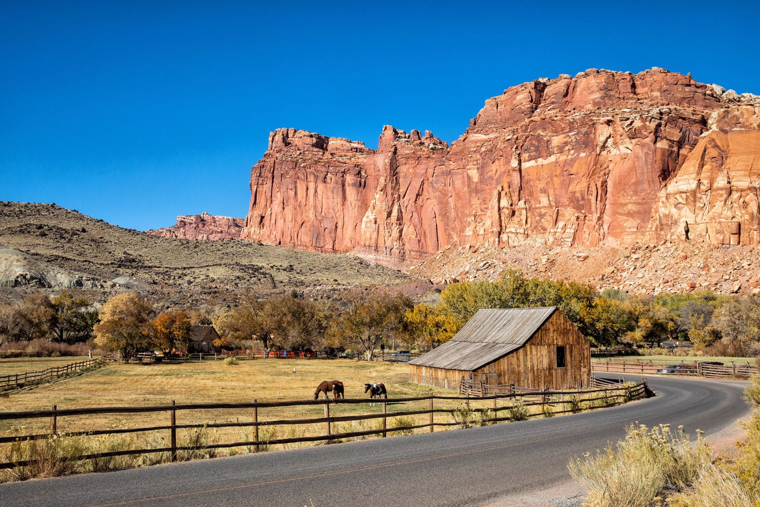 Fruita Capitol Reef National Park | Best National Parks in April