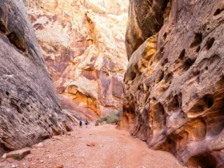 Grand Wash Capitol Reef National Park