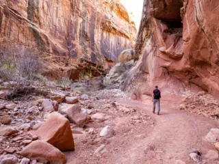 Grand Wash Trail