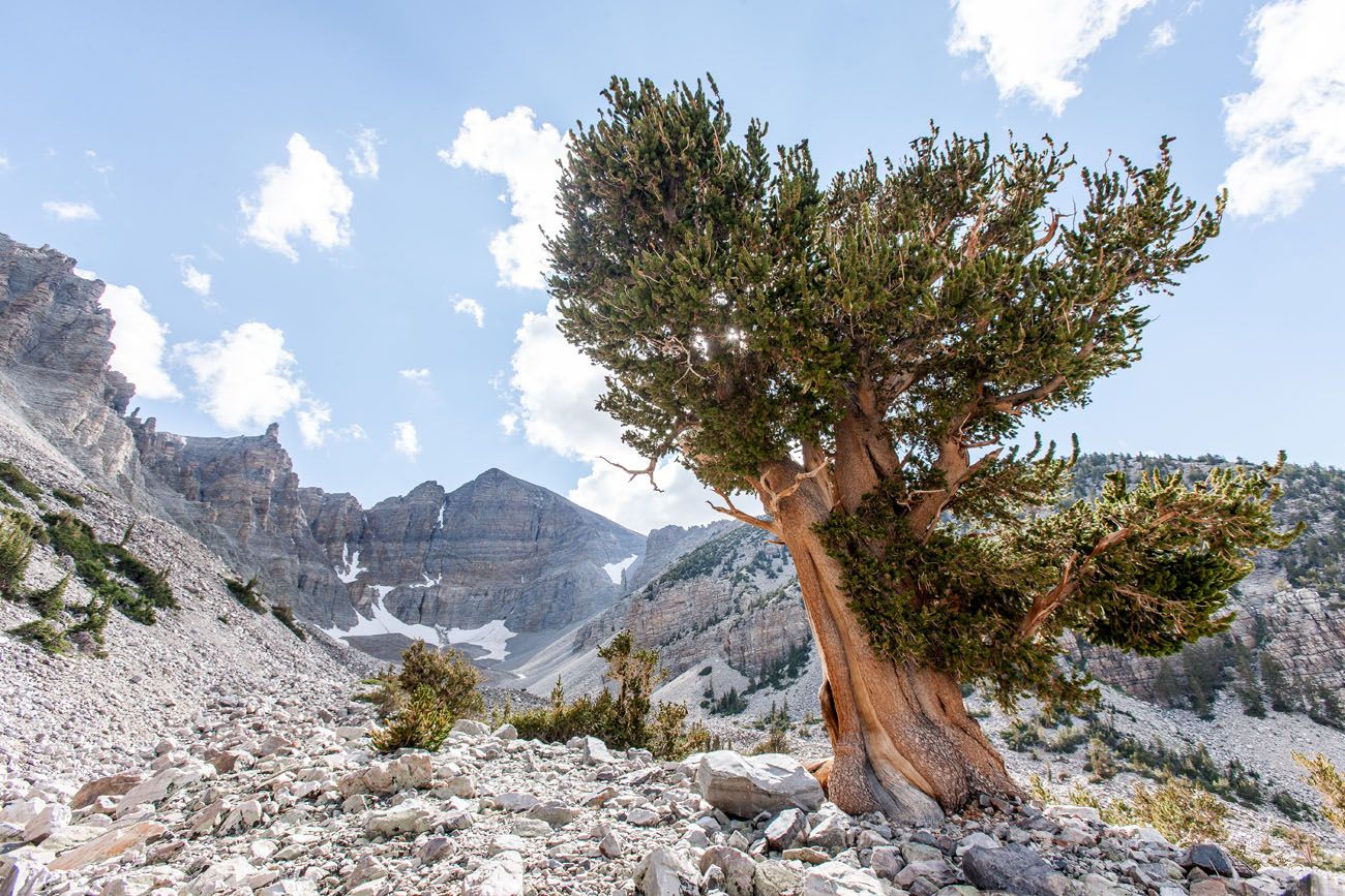 Great Basin National Park