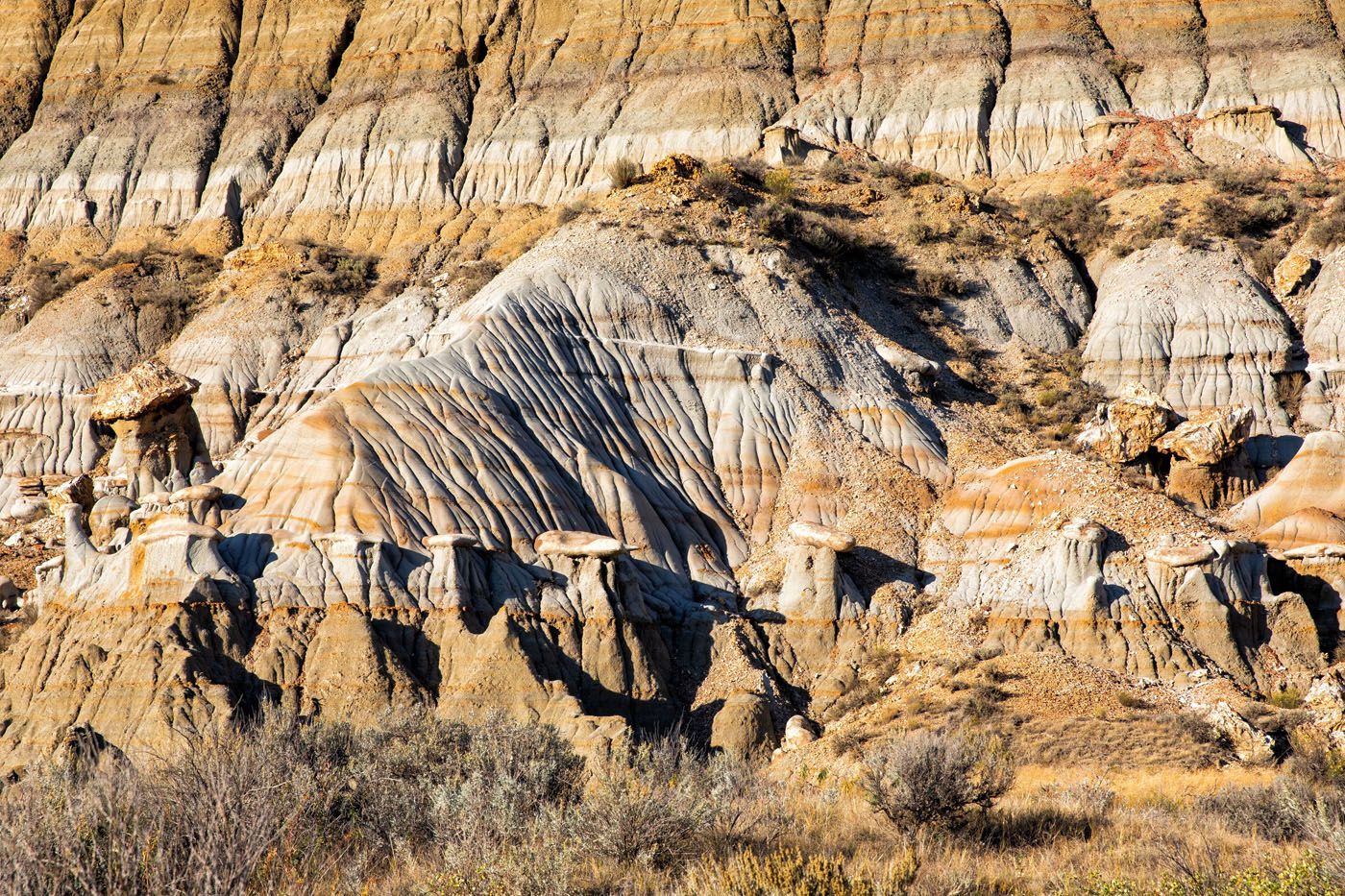 Hiking in Theodore Roosevelt