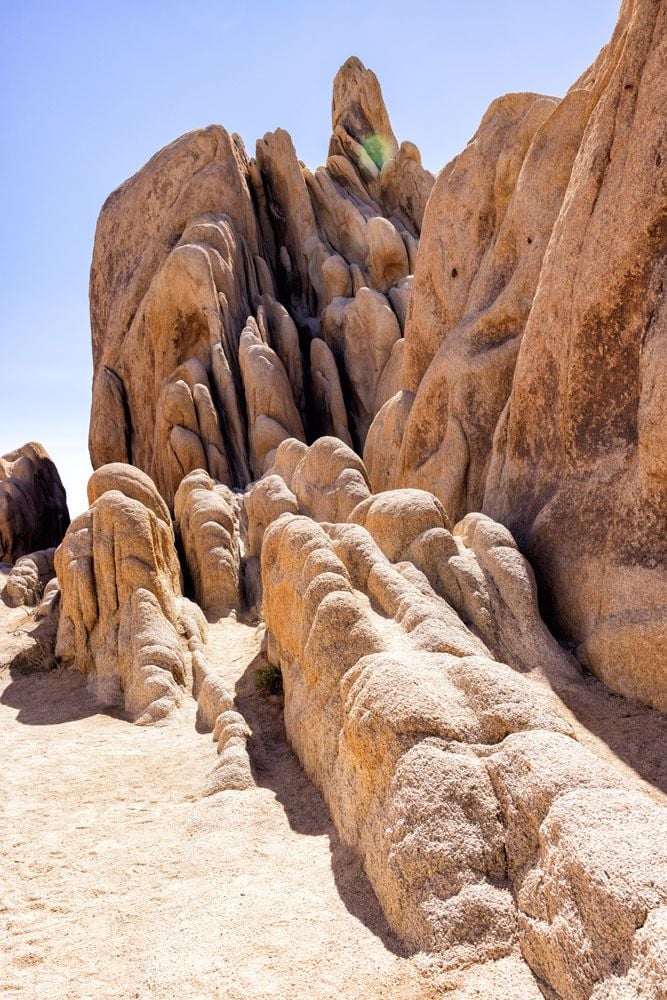 Joshua Tree Hike