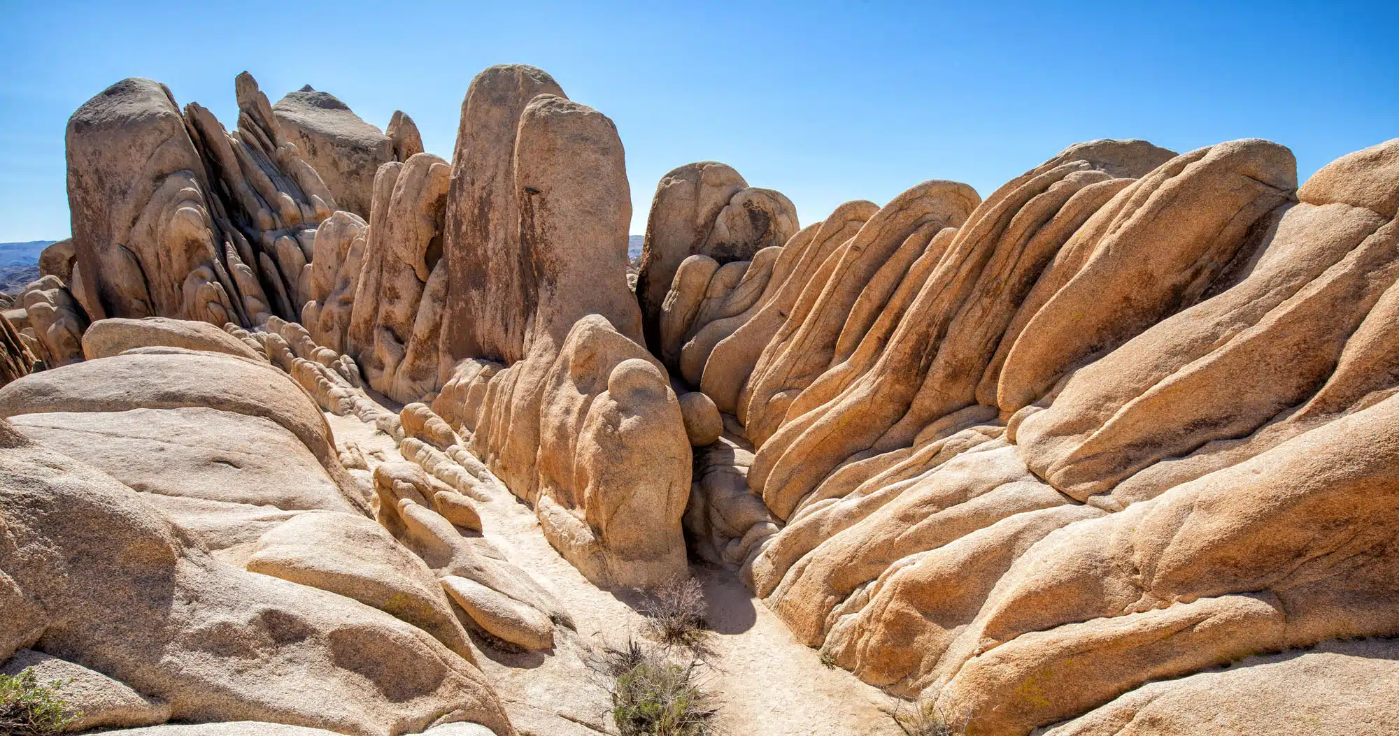 Joshua Tree National Park