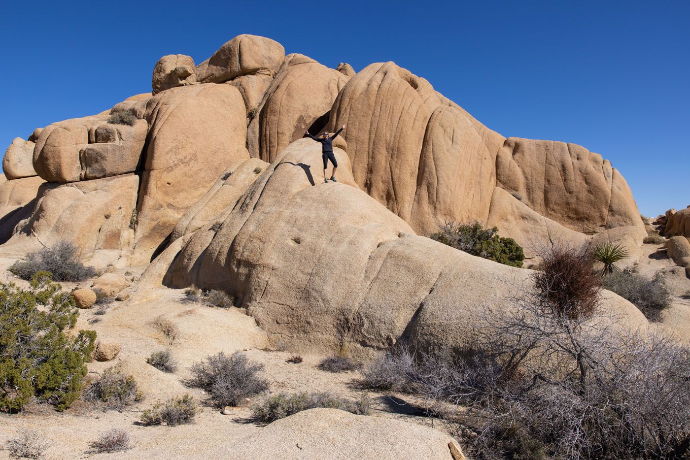 Julie in Joshua Tree | Best hikes in Joshua Tree