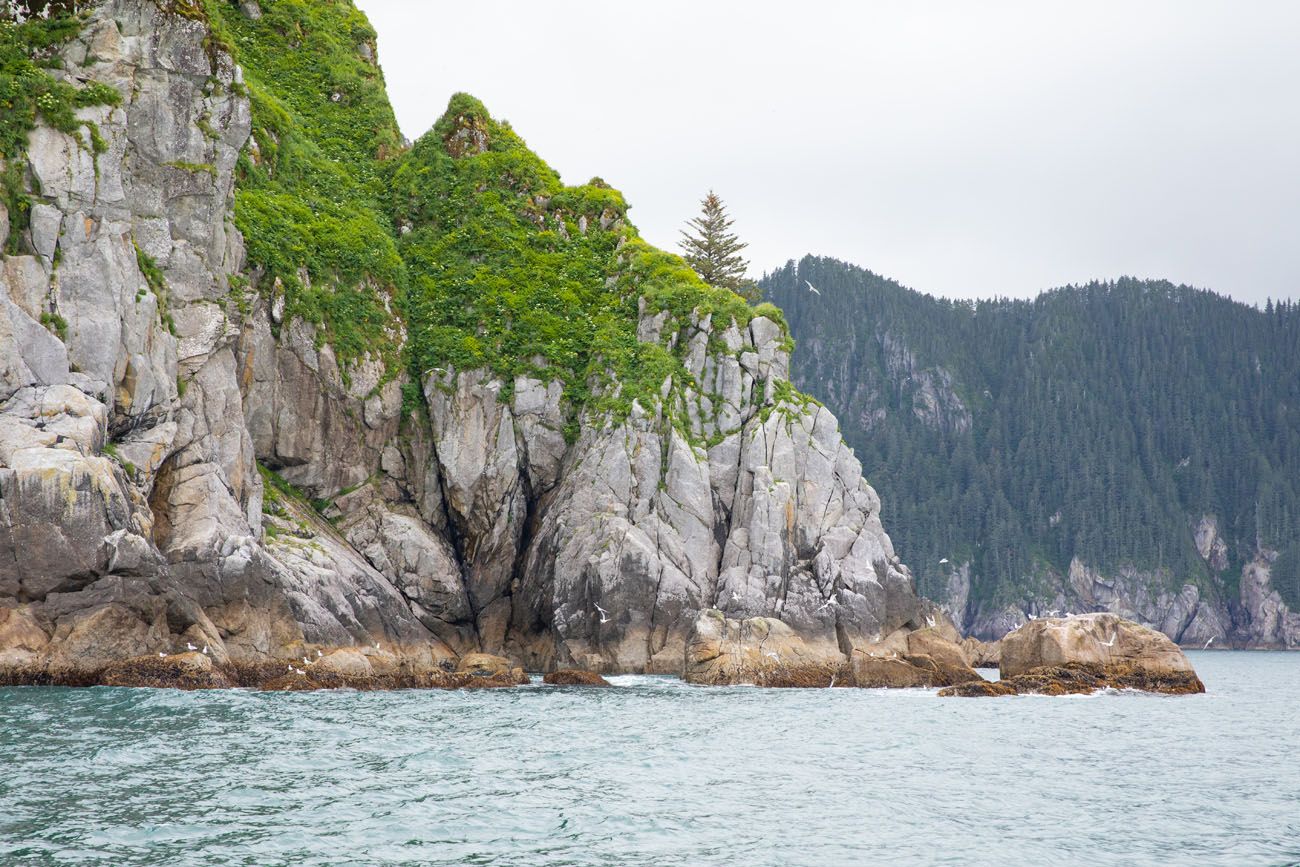 Kenai Fjords Coast