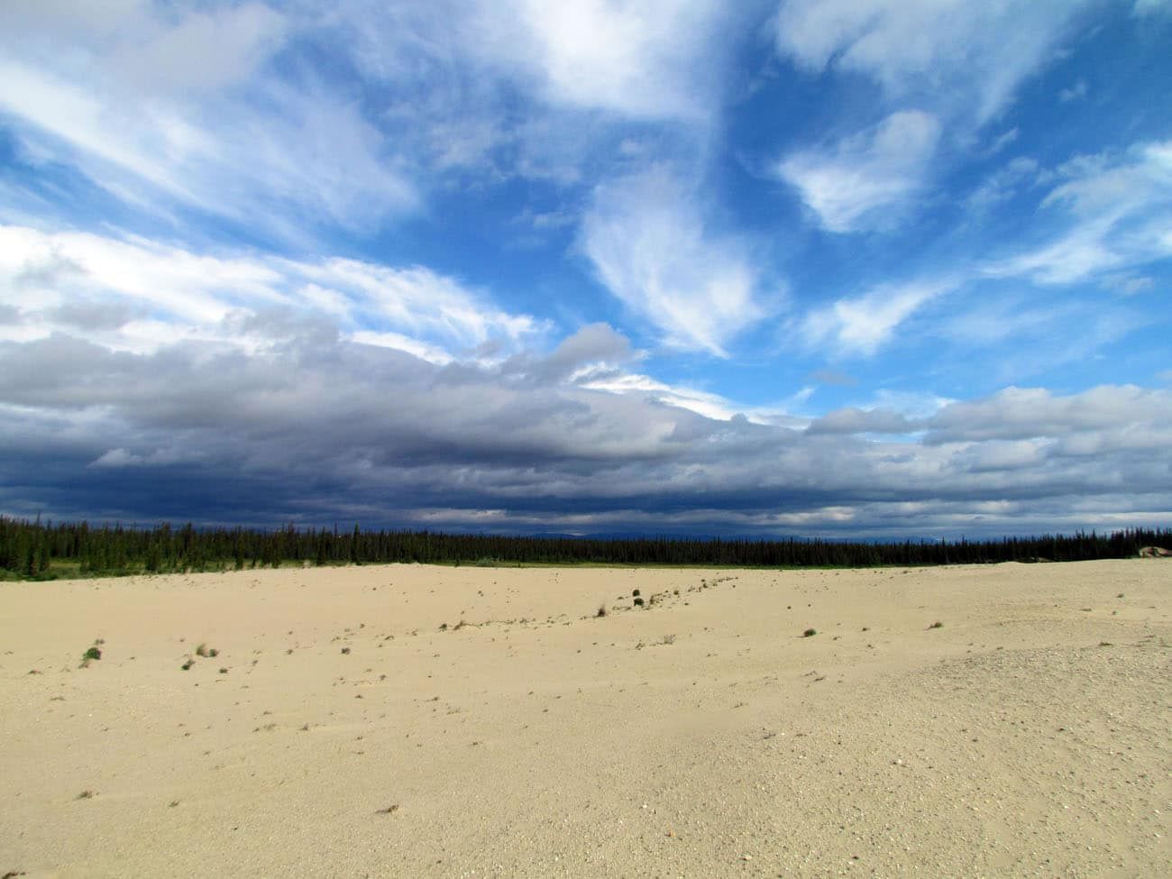 Kobuk Dunes