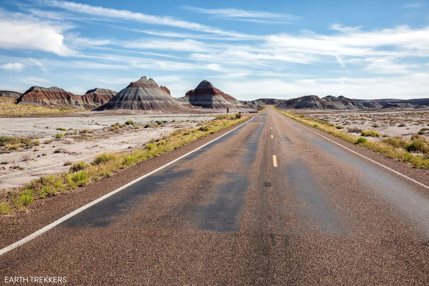 Petrified Forest National Park