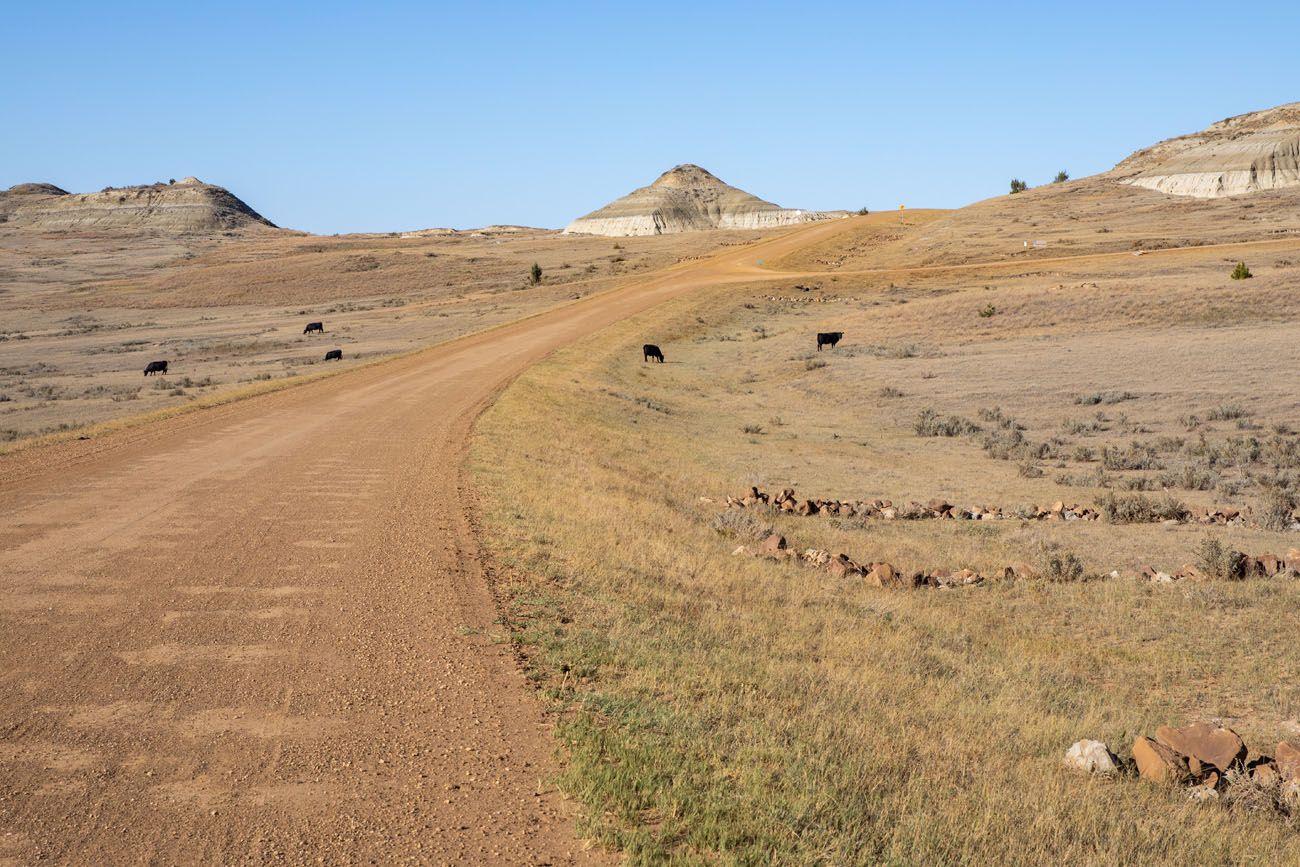 Road to Elkhorn Ranch