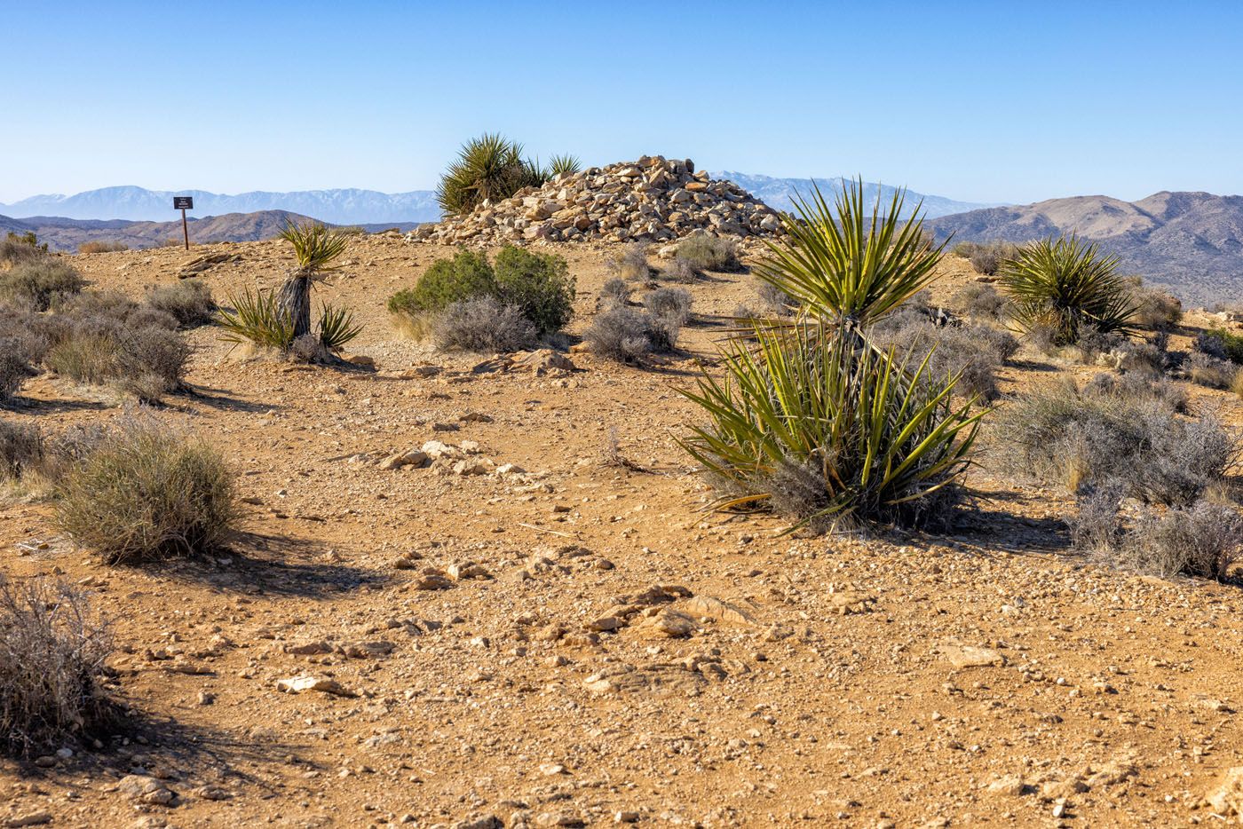 Ryan Mountain Peak