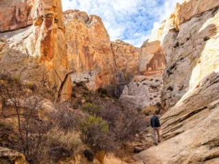 Surprise Canyon