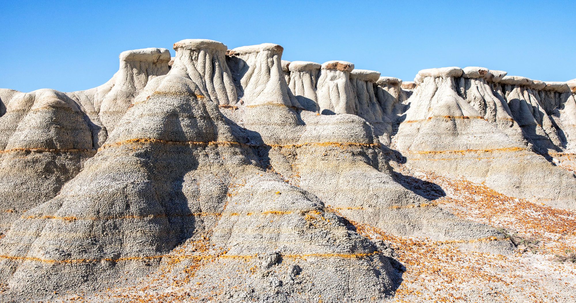 Featured image for “Best Things to Do in Theodore Roosevelt National Park”