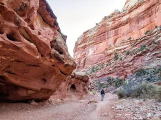Trail to Cassidy Arch