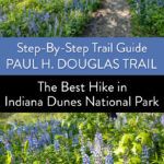 Best Hike in Indiana Dunes National Park