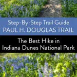 Best Hike in Indiana Dunes National Park