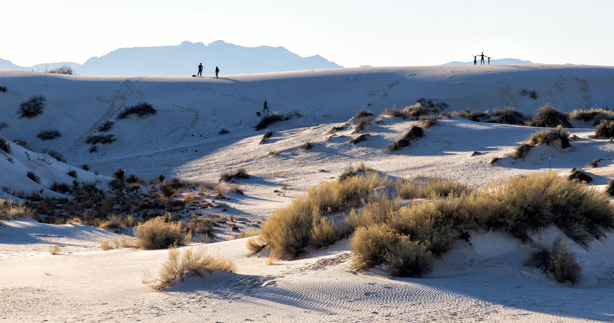 Featured image for “12 Best National Parks to Take the Kids”