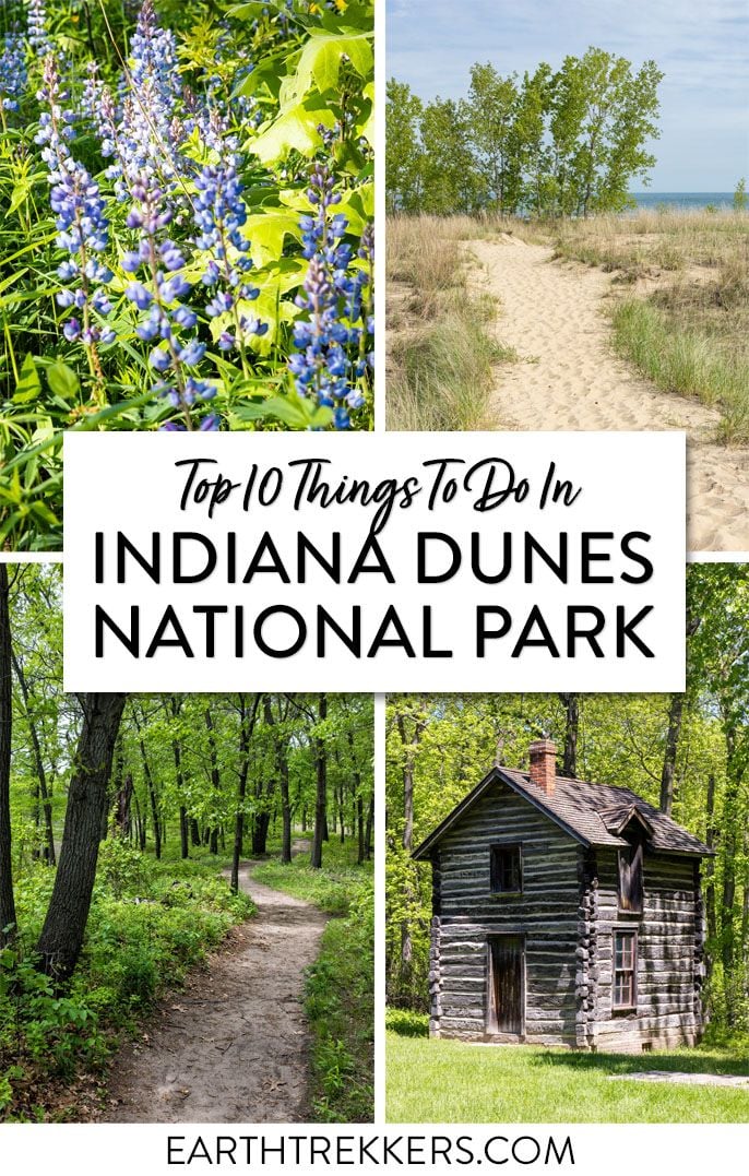 Best of Indiana Dunes National Park