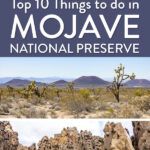 Best of the Mojave National Preserve