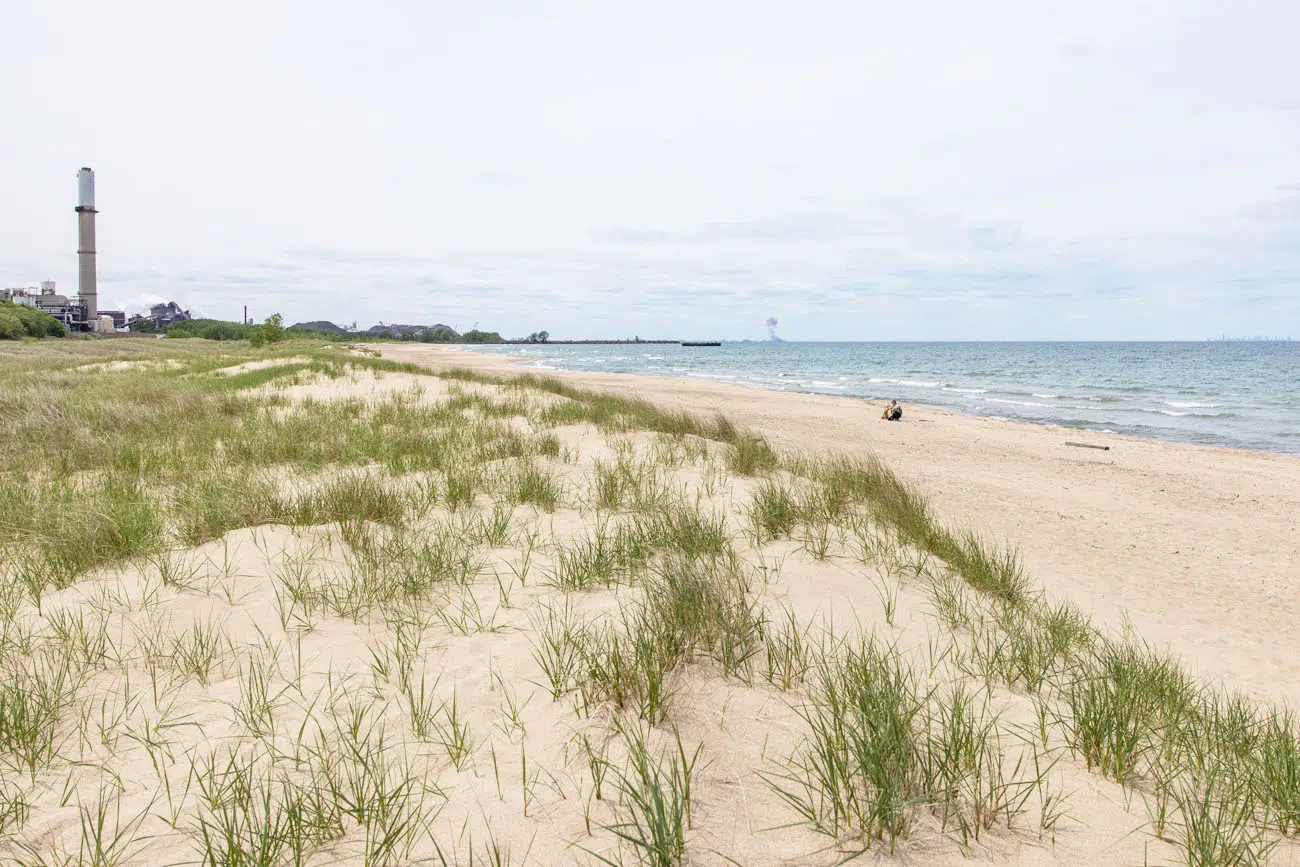 Cowles Bog Beach Trail