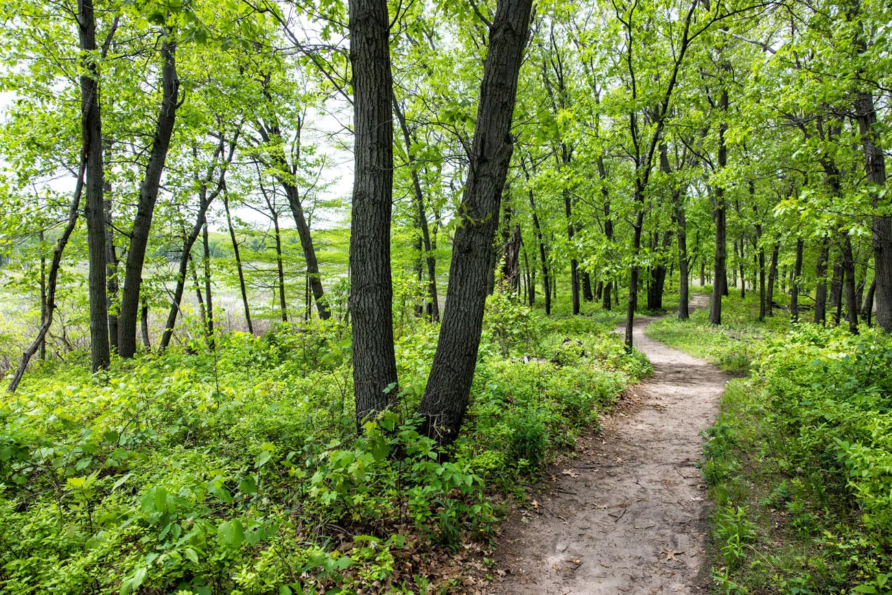 Cowles Bog Trail