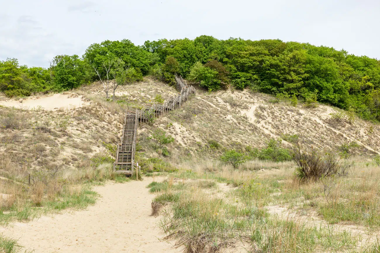 Dianas Dune