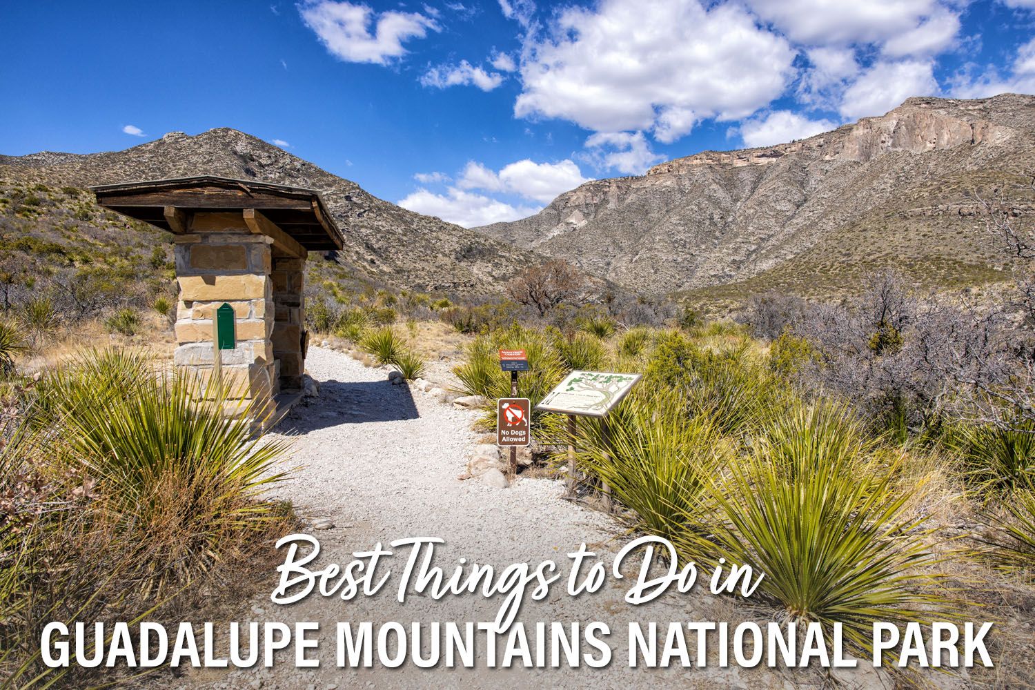 Guadalupe Mountains