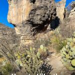 Guadalupe Mountains Permian Reef Hike