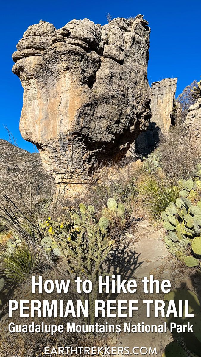 Guadalupe Mountains Permian Reef Hike