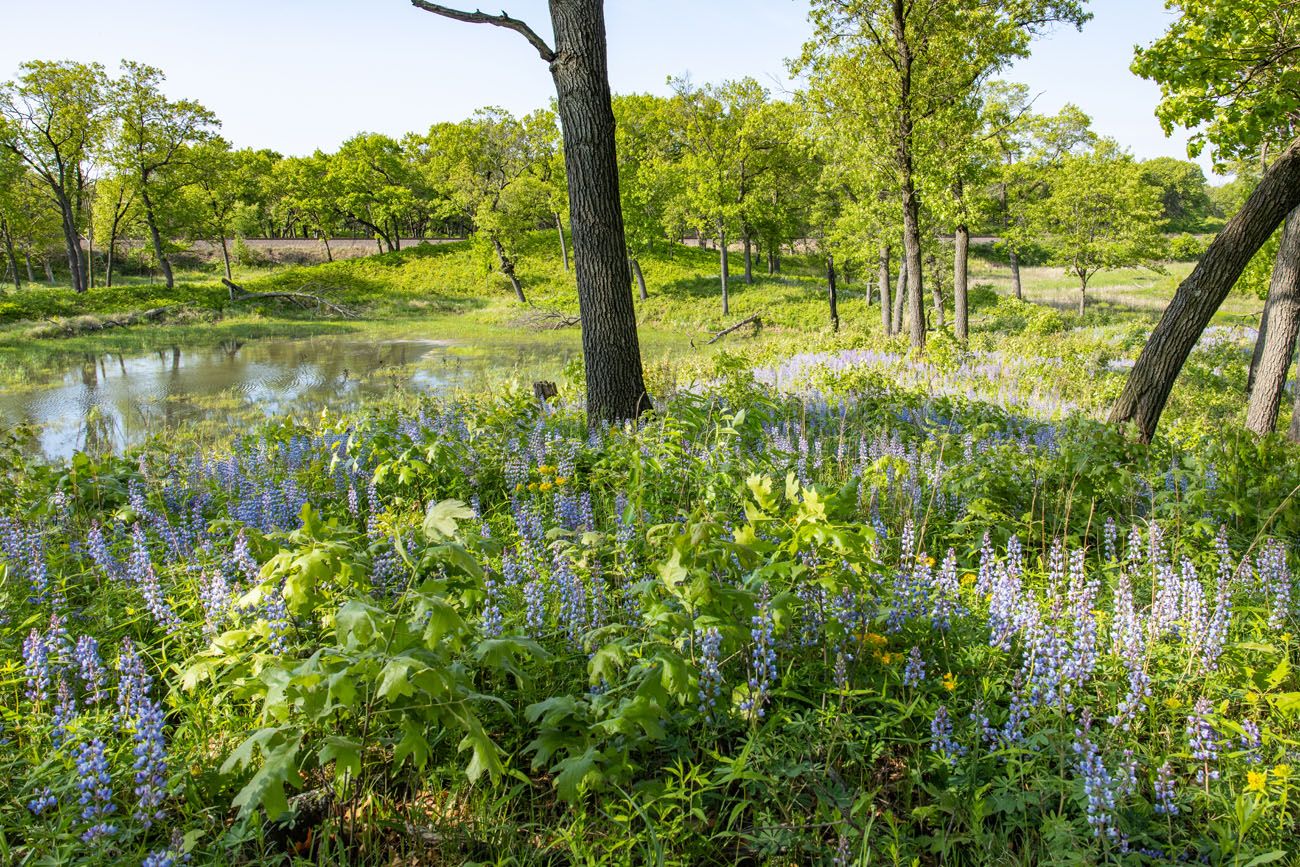 Indiana Dunes Hike