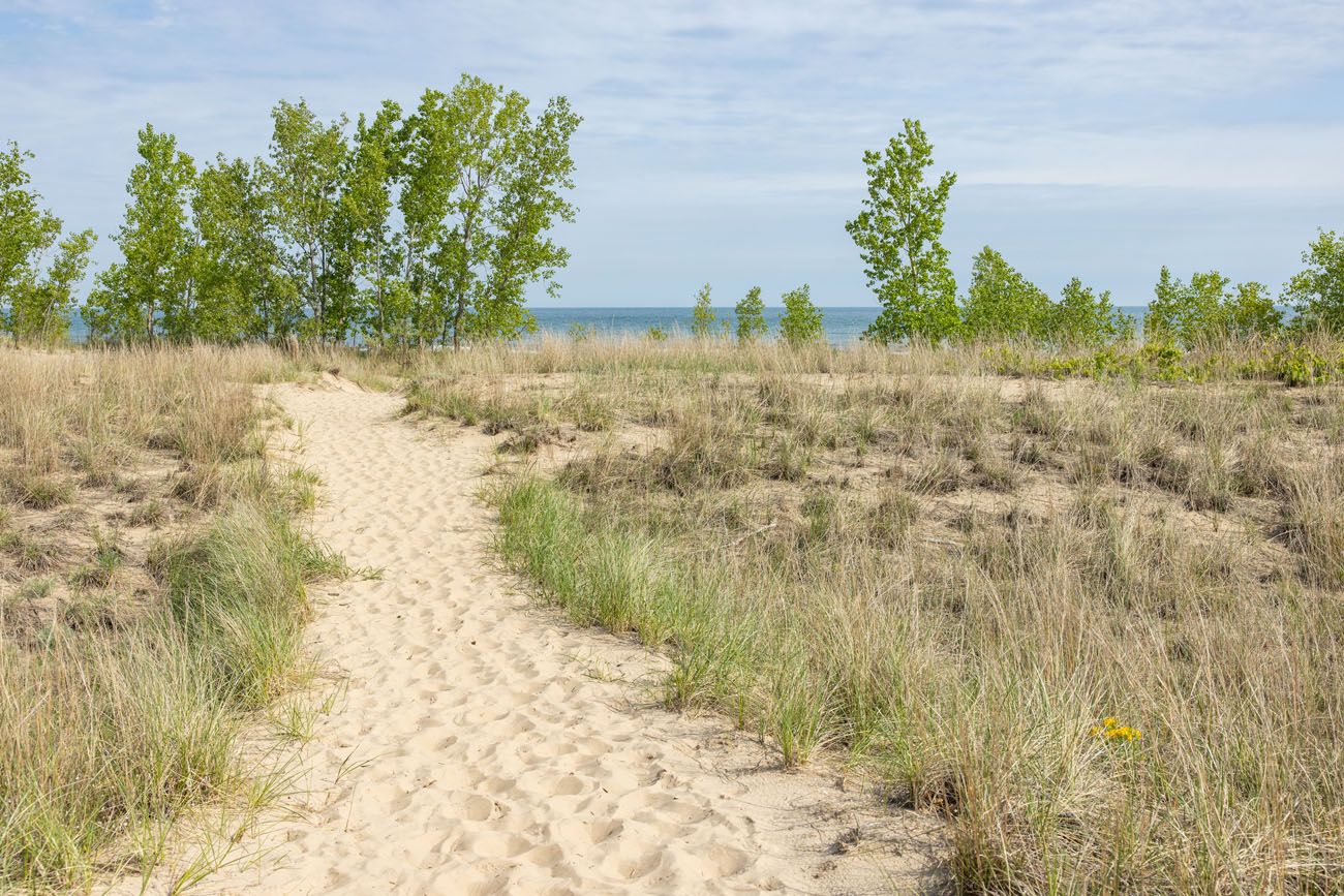 Indiana Dunes Hiking