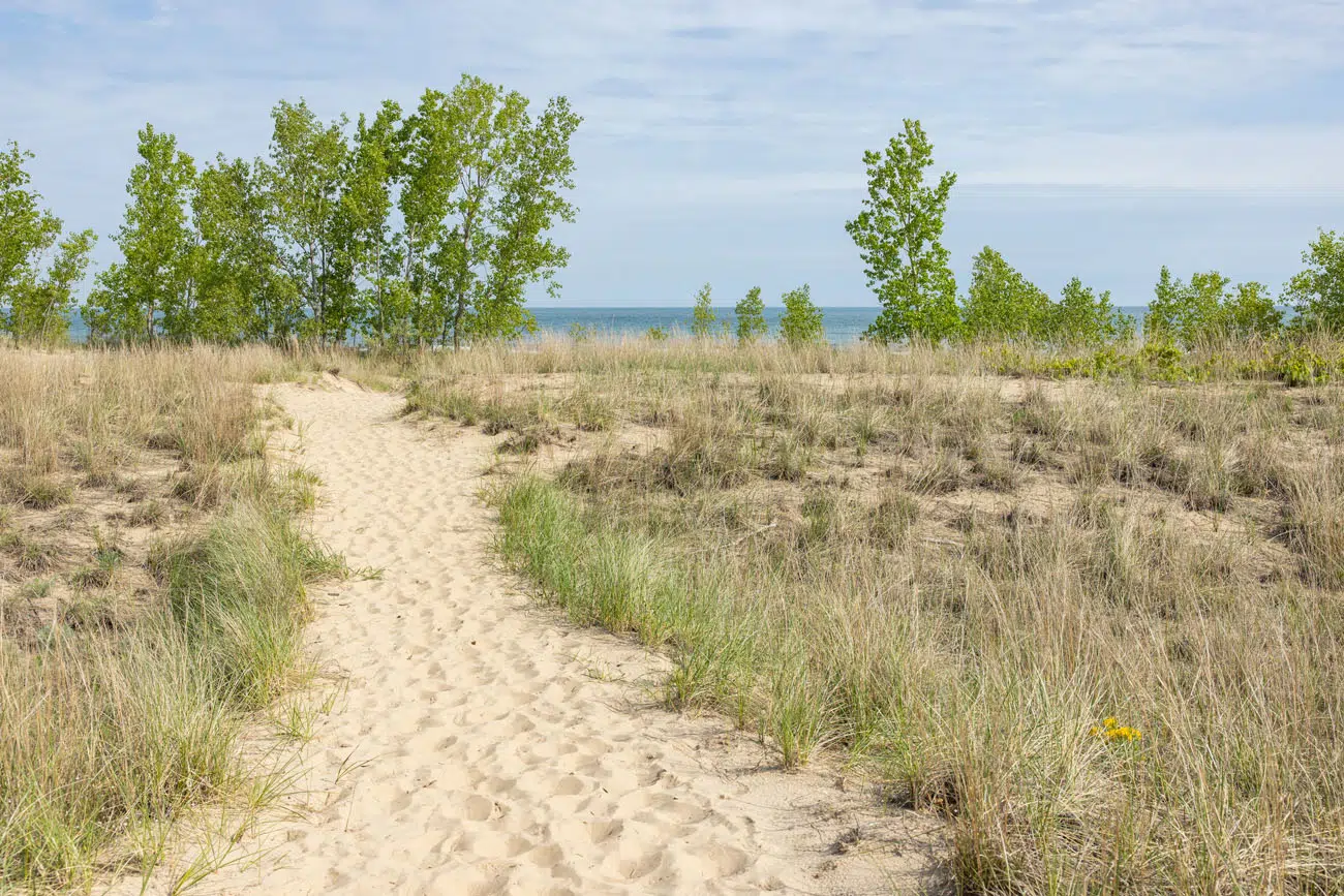 Indiana Dunes Hiking