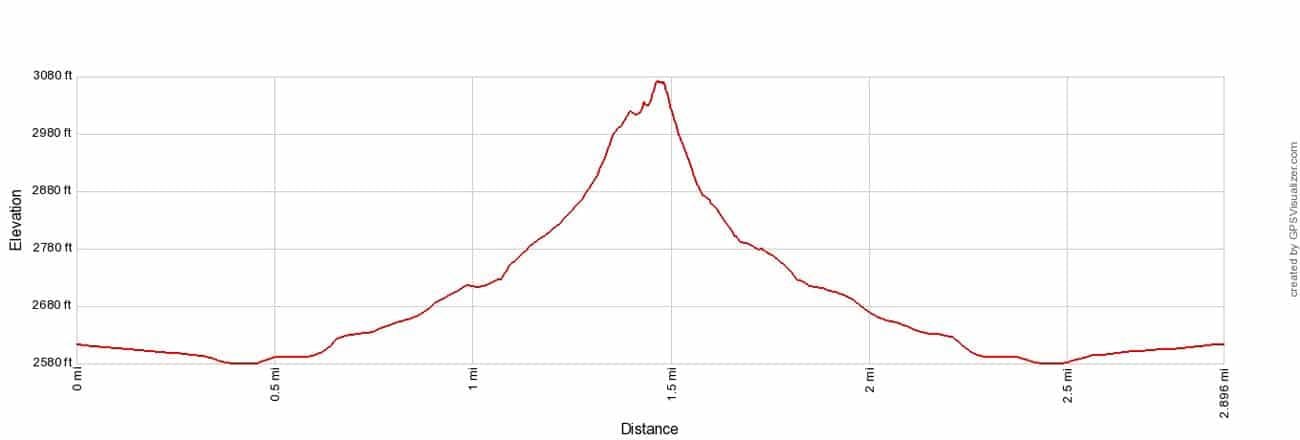 Kelso Dunes Elevation Profile