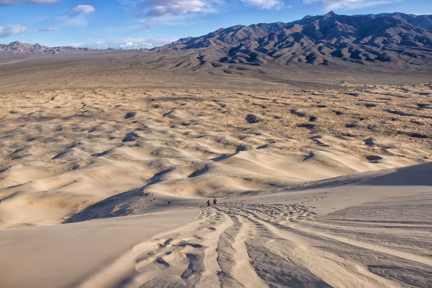 Kelso Dunes Photo