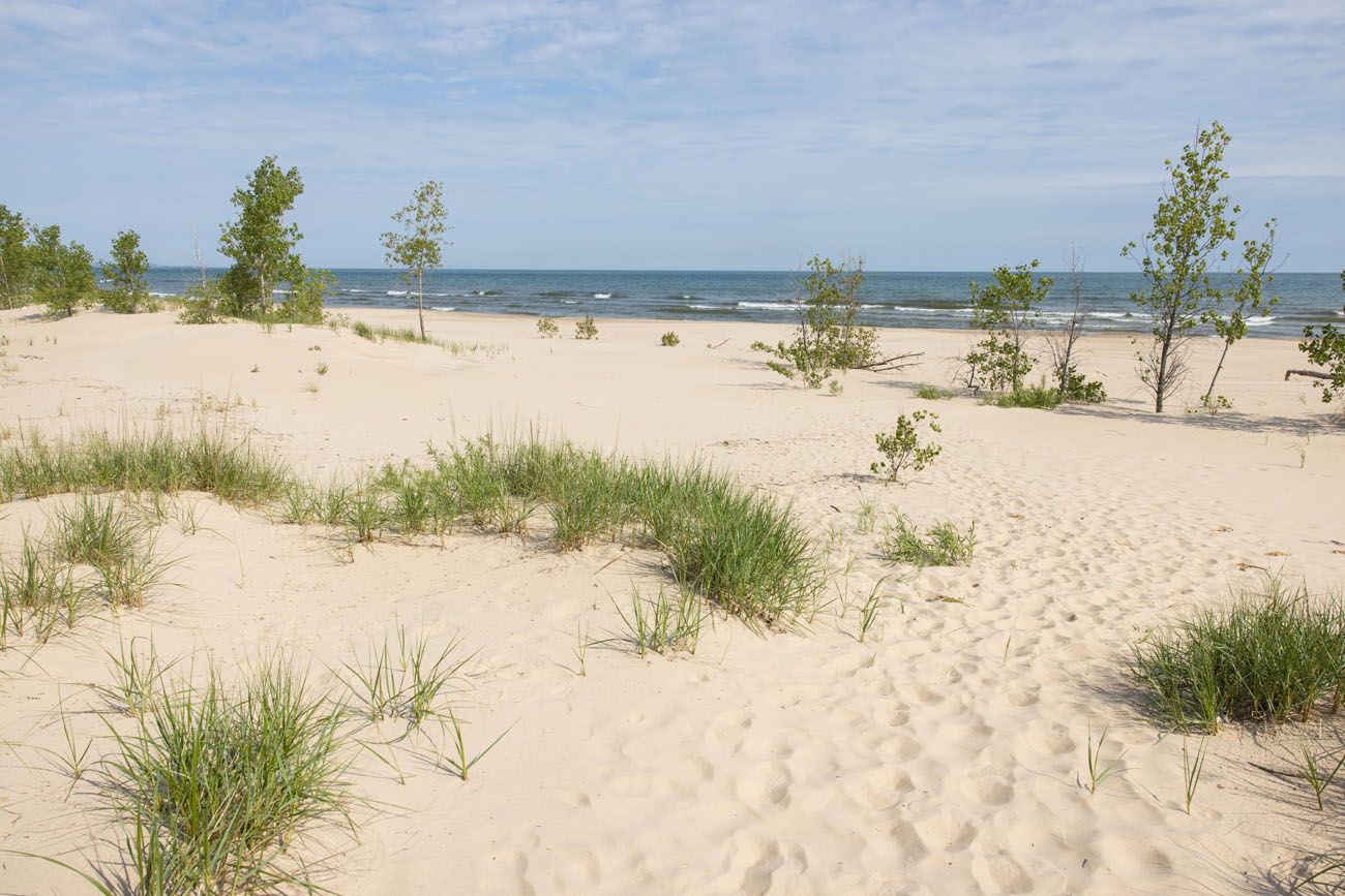 Lake Michigan Shoreline